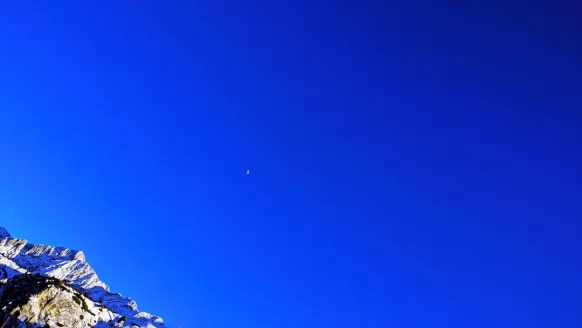 Cazino Bet Rocker Cazinou Suport